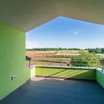Vet-centar 4*
